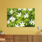 Wood Anemone Leinwanddruck (Insitu (Wohnzimmer))
