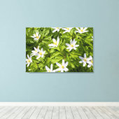 Wood Anemone Leinwanddruck (Insitu (Holzboden))