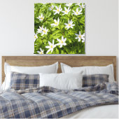 Wood Anemone Leinwanddruck (Insitu (Schlafzimmer))