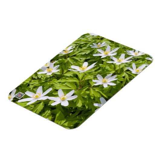 Wood Anemone Magnet (Linke Seite)