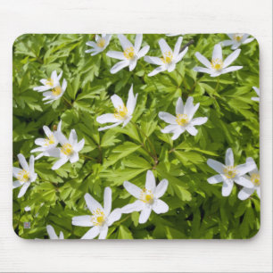 Wood Anemone Mousepad