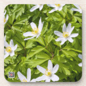 Wood Anemone Untersetzer (Vorderseite)