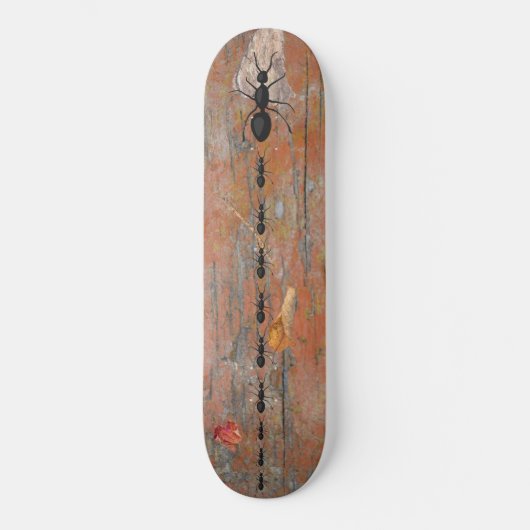Wood Bark Ants Follow Skateboard (Vorderseite)