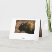 Wood Bison Buffalo (Rückseite)