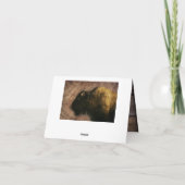 Wood Bison Buffalo Dankeskarte (Rückseite)