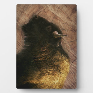 Wood Bison Buffalo Fotoplatte