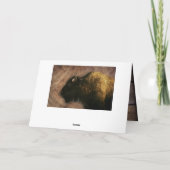 Wood Bison Buffalo Karte (Rückseite)