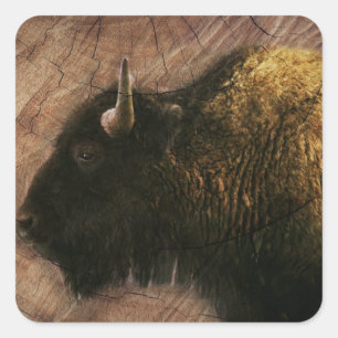 Wood Bison Buffalo Quadratischer Aufkleber