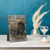 Wood Bison Fotoplatte (Seite)