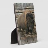 Wood Bison Fotoplatte (Seite)