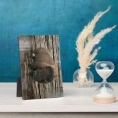 Wood Bison Fotoplatte (Seite)