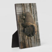 Wood Bison Fotoplatte (Seite)