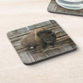 Wood Bison Getränkeuntersetzer (Linke Seite)