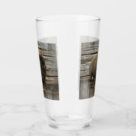 Wood Bison Glas (Rechts)