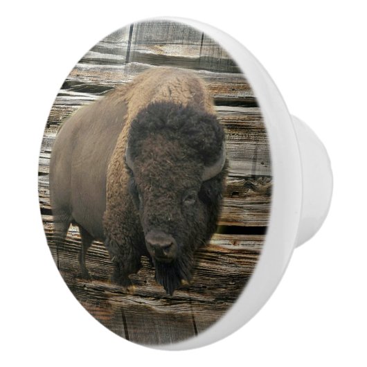 Wood Bison Keramikknauf (Rechts)