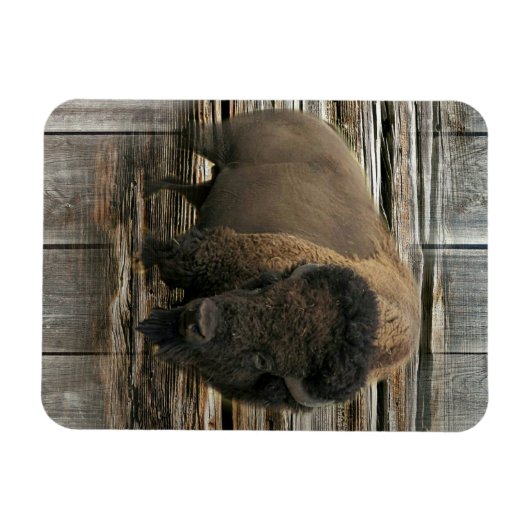 Wood Bison Magnet (Horizontal)