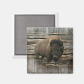 Wood Bison Magnet (Vorderseite/Rückseite)