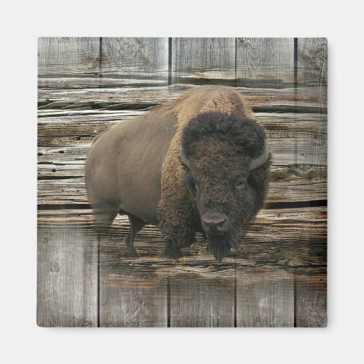 Wood Bison Magnet (Vorne)