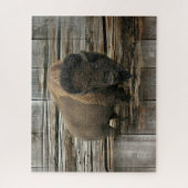 Wood Bison Puzzle (Vertikal)