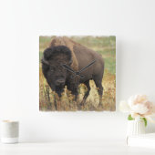 Wood Bison Wall Clock Quadratische Wanduhr (Zuhause)
