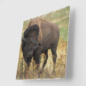 Wood Bison Wall Clock Quadratische Wanduhr (Winkel)