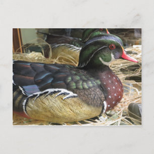 Wood Duck Carving Postkarte