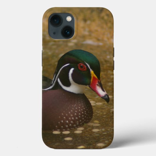 Wood Duck Case-Mate iPhone Hülle (Rückseite)