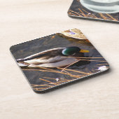 Wood Duck Cork Untersetzer (Linke Seite)