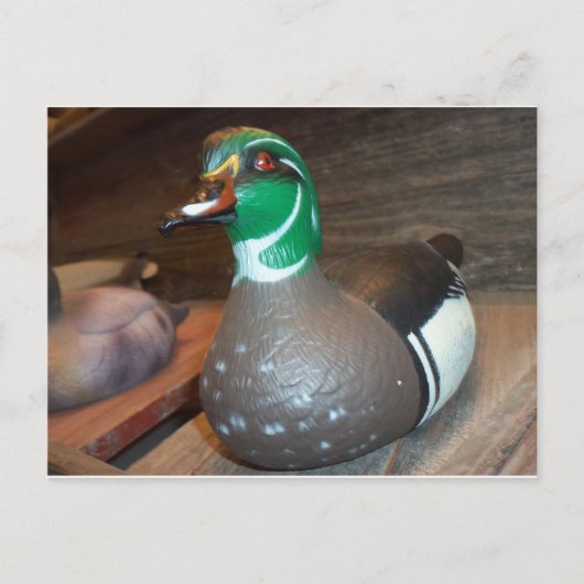 Wood Duck Decoy Postkarte (Vorderseite)