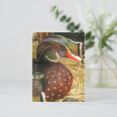 Wood Duck Decoy Postkarte (Stehend Vorderseite)