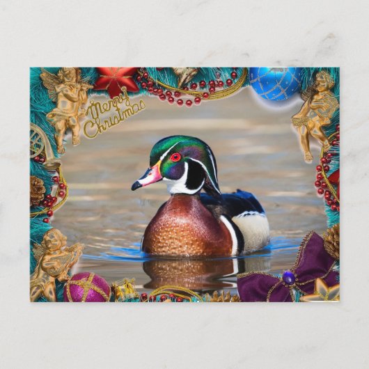 Wood Duck Drake Christmas Card Feiertagspostkarte (Vorderseite)