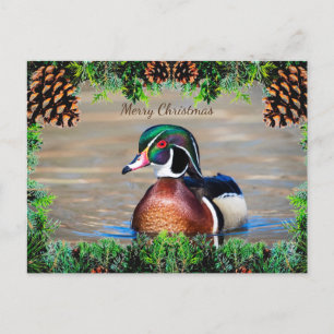 Wood Duck Drake Christmas Card Feiertagspostkarte