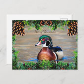 Wood Duck Drake Christmas Card Feiertagspostkarte (Vorne/Hinten)