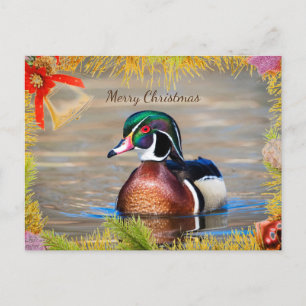 Wood Duck Drake Christmas Card Feiertagspostkarte