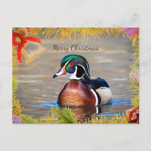 Wood Duck Drake Christmas Card Feiertagspostkarte (Vorderseite)