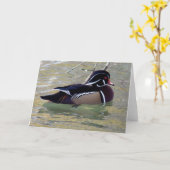 Wood Duck Drake Karte (Gelbe Blume)