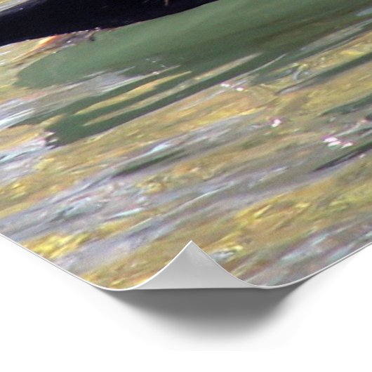 Wood Duck Drake Poster (Ecke)