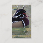 Wood Duck Drake Visitenkarte (Rückseite)