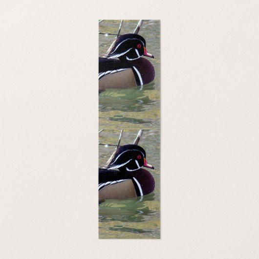 Wood Duck Drake Visitenkarten (Innenseite Aufgefaltet)