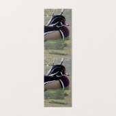 Wood Duck Drake Visitenkarten (Innenseite Aufgefaltet)