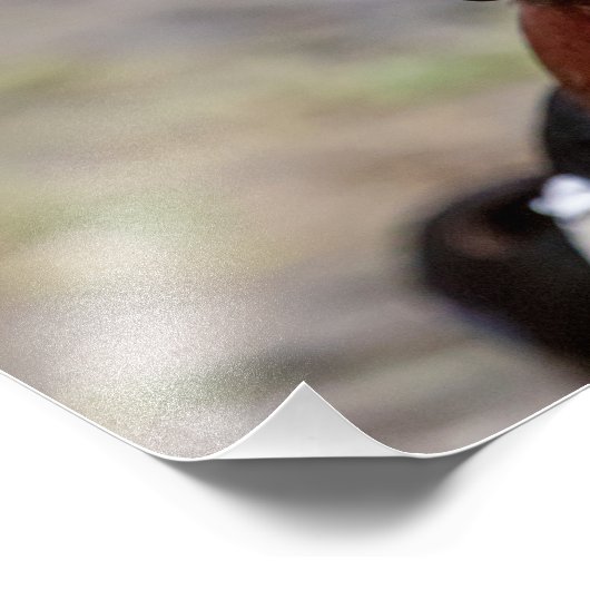 Wood Duck Fotodruck (Ecke)