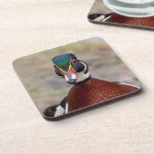 Wood Duck Getränkeuntersetzer (Linke Seite)