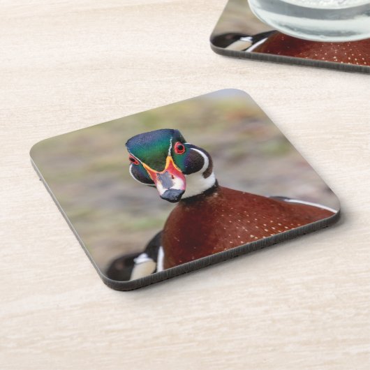 Wood Duck Getränkeuntersetzer (Linke Seite)