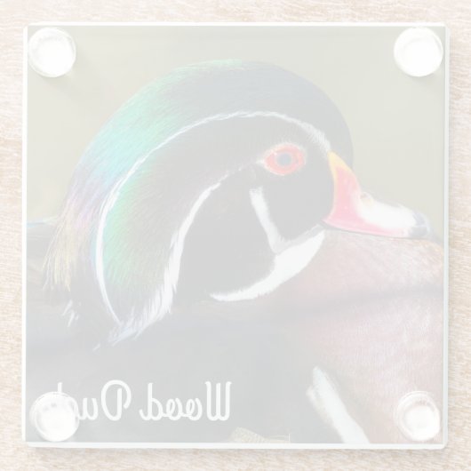 Wood Duck Glasuntersetzer (Rückseite)