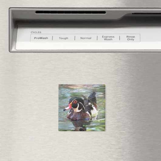 Wood Duck Magnet (In Situ (Geschirrspüler))