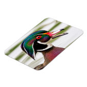Wood Duck Magnet (Linke Seite)