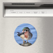 Wood Duck Magnet (In Situ (Geschirrspüler))