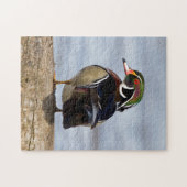 Wood Duck Male on log in wetland Puzzle (Horizontal)