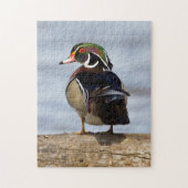 Wood Duck Male on log in wetland Puzzle (Vertikal)