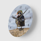 Wood Duck Male on log in wetland Runde Wanduhr (Winkel)